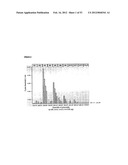 Method for the Detection and Diagnosis of Cancer Involving Primers and     Probes for the Specific Detection of the MAGE-A3-Marker diagram and image