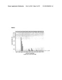 Method for the Detection and Diagnosis of Cancer Involving Primers and     Probes for the Specific Detection of the MAGE-A3-Marker diagram and image