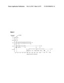 Method for the Detection and Diagnosis of Cancer Involving Primers and     Probes for the Specific Detection of the MAGE-A3-Marker diagram and image