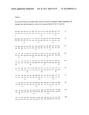 Method for the Detection and Diagnosis of Cancer Involving Primers and     Probes for the Specific Detection of the MAGE-A3-Marker diagram and image