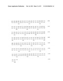 Method for the Detection and Diagnosis of Cancer Involving Primers and     Probes for the Specific Detection of the MAGE-A3-Marker diagram and image