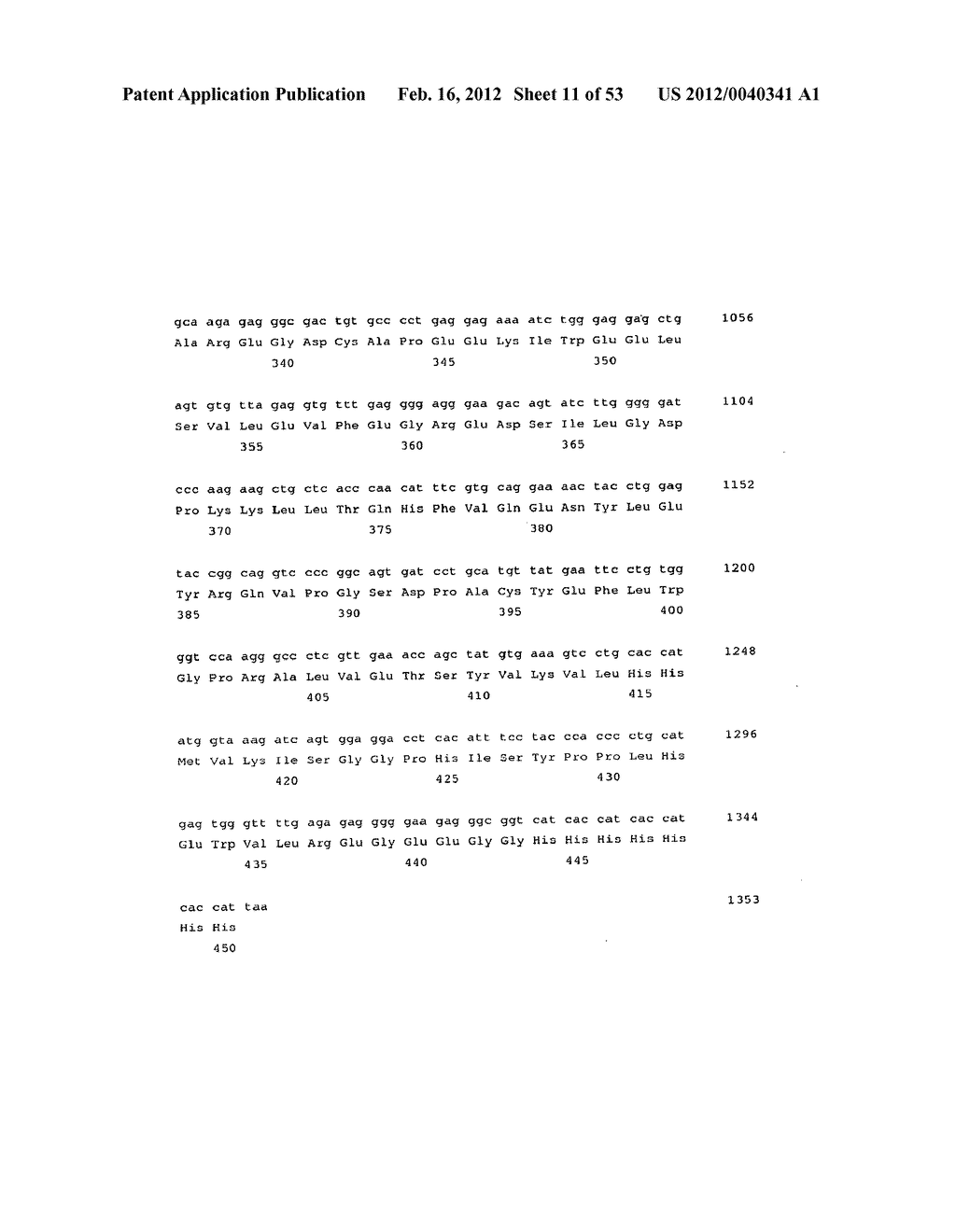 Method for the Detection and Diagnosis of Cancer Involving Primers and     Probes for the Specific Detection of the MAGE-A3-Marker - diagram, schematic, and image 12