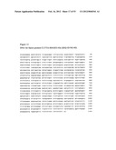 Method for the Detection and Diagnosis of Cancer Involving Primers and     Probes for the Specific Detection of the MAGE-A3-Marker diagram and image