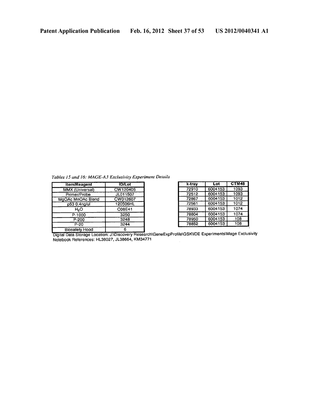 Method for the Detection and Diagnosis of Cancer Involving Primers and     Probes for the Specific Detection of the MAGE-A3-Marker - diagram, schematic, and image 38