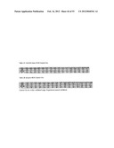 Method for the Detection and Diagnosis of Cancer Involving Primers and     Probes for the Specific Detection of the MAGE-A3-Marker diagram and image