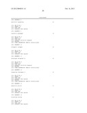 Method for the Detection and Diagnosis of Cancer Involving Primers and     Probes for the Specific Detection of the MAGE-A3-Marker diagram and image