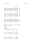 Method for the Detection and Diagnosis of Cancer Involving Primers and     Probes for the Specific Detection of the MAGE-A3-Marker diagram and image