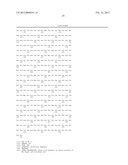 Method for the Detection and Diagnosis of Cancer Involving Primers and     Probes for the Specific Detection of the MAGE-A3-Marker diagram and image