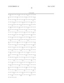 Method for the Detection and Diagnosis of Cancer Involving Primers and     Probes for the Specific Detection of the MAGE-A3-Marker diagram and image