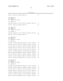 Method for the Detection and Diagnosis of Cancer Involving Primers and     Probes for the Specific Detection of the MAGE-A3-Marker diagram and image