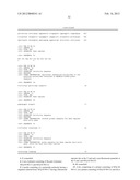 Method for the Detection and Diagnosis of Cancer Involving Primers and     Probes for the Specific Detection of the MAGE-A3-Marker diagram and image