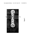 SYSTEMS AND METHODS FOR RAPIDLY CHANGING THE SOLUTION ENVIRONMENT AROUND     SENSORS diagram and image