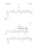 ANTI-MUC1 ANTIBODY diagram and image