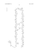 ANTI-MUC1 ANTIBODY diagram and image