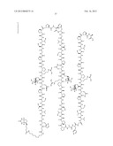 ANTI-MUC1 ANTIBODY diagram and image