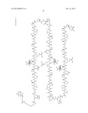 ANTI-MUC1 ANTIBODY diagram and image