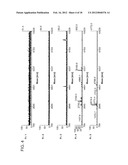 LUNG CANCER DIAGNOSTIC POLYPEPTIDE, METHOD FOR DETECTING LUNG CANCER, AND     METHOD FOR EVALUATING THERAPEUTIC EFFECT diagram and image