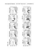 LUNG CANCER DIAGNOSTIC POLYPEPTIDE, METHOD FOR DETECTING LUNG CANCER, AND     METHOD FOR EVALUATING THERAPEUTIC EFFECT diagram and image