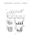 Directed Differentiation of Primate Pluripotent Stem Cells Into Functional     Basal Forebrain Cholinergic Neurons (BFCNs) and Medium Spiny Gabaergic     Projection Neurons diagram and image