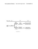 Directed Differentiation of Primate Pluripotent Stem Cells Into Functional     Basal Forebrain Cholinergic Neurons (BFCNs) and Medium Spiny Gabaergic     Projection Neurons diagram and image