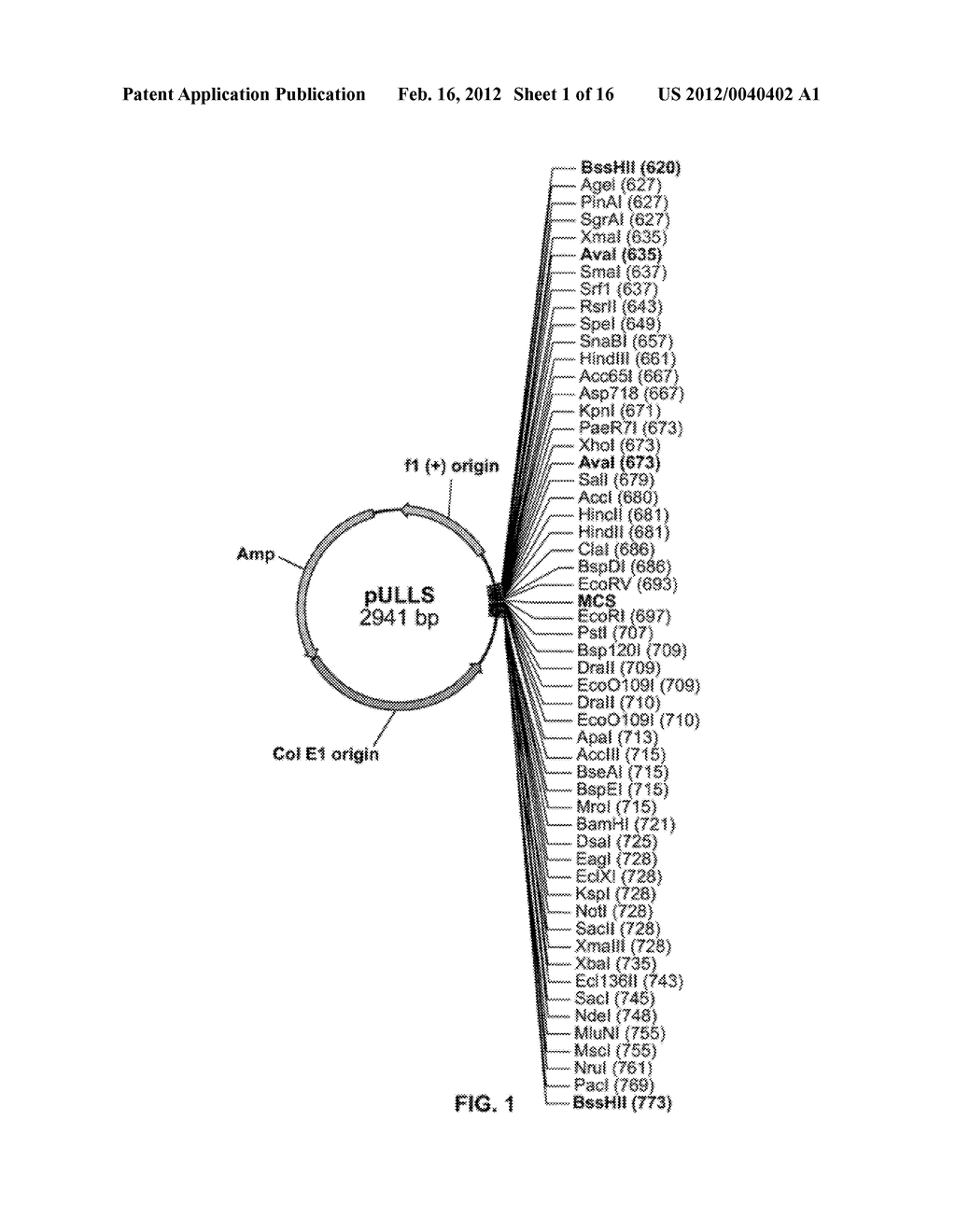 PLASMID SYSTEM FOR MULTIGENE EXPRESSION - diagram, schematic, and image 02