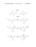 DIGUANYLATE CYCLASE METHOD OF PRODUCING THE SAME AND ITS USE IN THE     MANUFACTURE OF CYCLIC-DI-GMP AND ANALOGUES THEREOF diagram and image