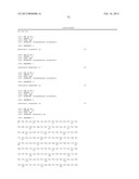 RATIONALLY-DESIGNED MEGANUCLEASES WITH ALTERED SEQUENCE SPECIFICITY AND     DNA-BINDING AFFINITY diagram and image