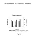 METHOD FOR PRODUCING OIL BY CYSTOFILOBASIDIUM SPP. diagram and image