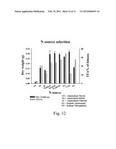 METHOD FOR PRODUCING OIL BY CYSTOFILOBASIDIUM SPP. diagram and image