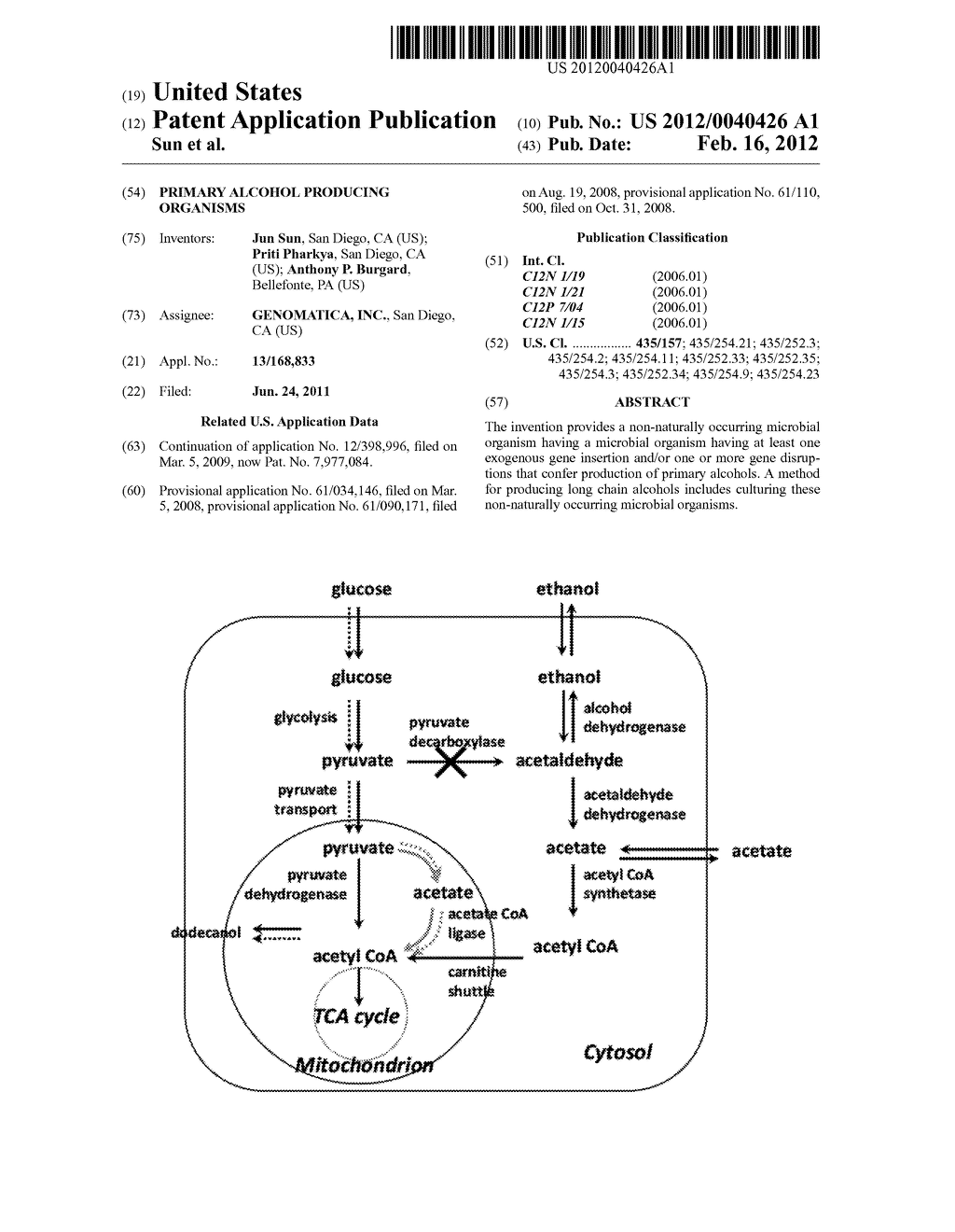 PRIMARY ALCOHOL PRODUCING ORGANISMS - diagram, schematic, and image 01