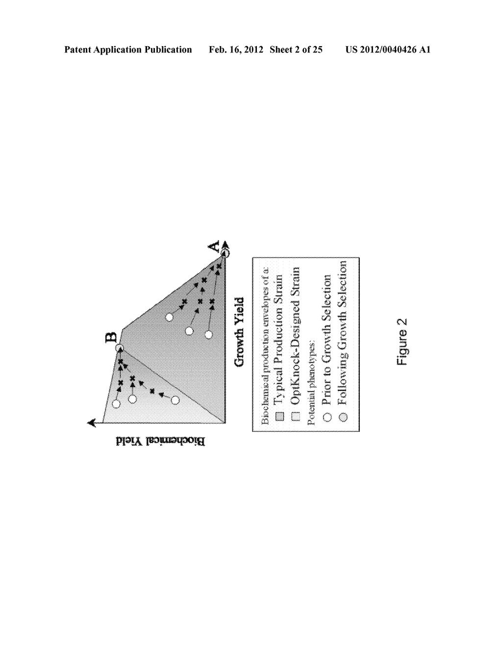 PRIMARY ALCOHOL PRODUCING ORGANISMS - diagram, schematic, and image 03