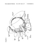 Novel Porcine Circovirus Type 2B Isolate and Uses Thereof diagram and image