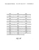 METHODS OF GENE THERAPY USING NUCLEIC ACID SEQUENCES FOR ATP-BINDING     CASSETTE TRANSPORTER diagram and image