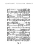 METHODS OF GENE THERAPY USING NUCLEIC ACID SEQUENCES FOR ATP-BINDING     CASSETTE TRANSPORTER diagram and image