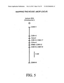 METHODS OF GENE THERAPY USING NUCLEIC ACID SEQUENCES FOR ATP-BINDING     CASSETTE TRANSPORTER diagram and image