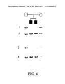 METHODS OF GENE THERAPY USING NUCLEIC ACID SEQUENCES FOR ATP-BINDING     CASSETTE TRANSPORTER diagram and image