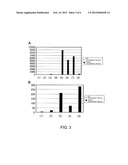 METHOD FOR PRODUCING DENDRITIC CELLS diagram and image