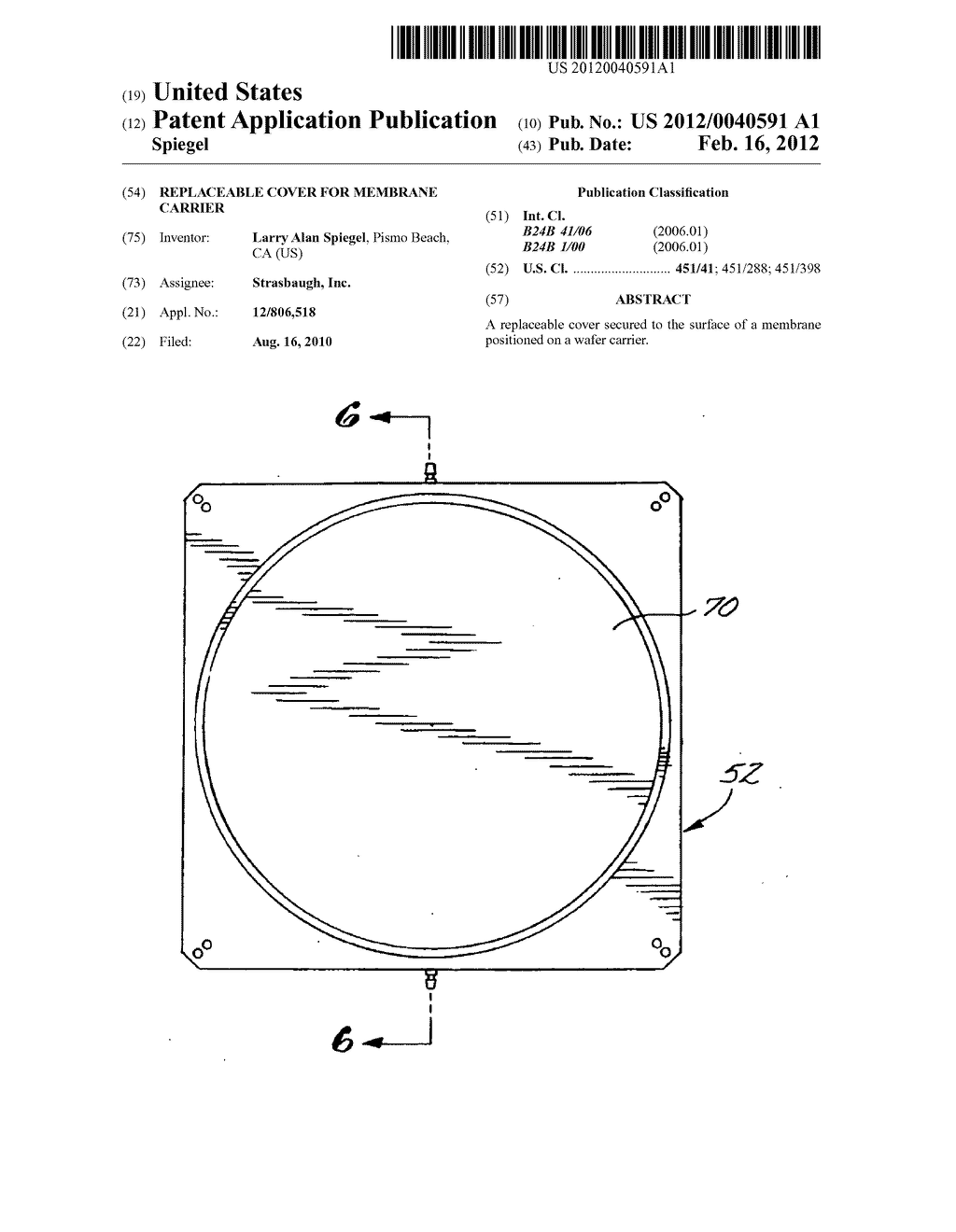 Replaceable cover for membrane carrier - diagram, schematic, and image 01