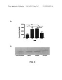 BIOMARKERS FOR STROKE diagram and image