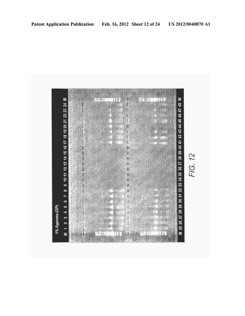Method For Assembly Of Polynucleic Acid Sequences - diagram, schematic, and image 13