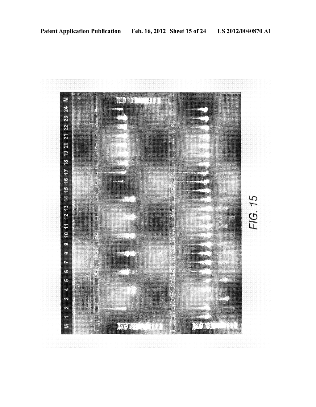 Method For Assembly Of Polynucleic Acid Sequences - diagram, schematic, and image 16