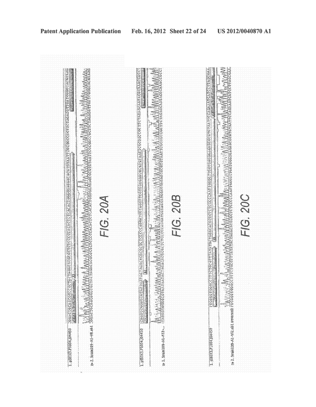 Method For Assembly Of Polynucleic Acid Sequences - diagram, schematic, and image 23
