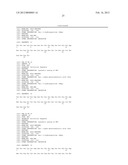 Analogues of Neuropeptide Y Having At Least One Synthetic Amino Acid     Substitution diagram and image