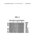 HIV FUSION INHIBITOR PEPTIDES WITH IMPROVED BIOLOGICAL PROPERTIES diagram and image