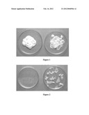 MEDICINAL FUSIDIC ACID CREAM MADE USING SODIUM FUSIDATE AND INCORPORATING     A BIOPOLYMER AND A PROCESS TO MAKE IT diagram and image