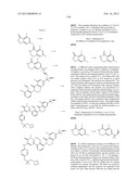 Inhibitors of Bruton s Tyrosine Kinase diagram and image