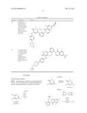 Inhibitors of Bruton s Tyrosine Kinase diagram and image