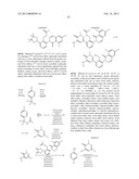 Inhibitors of Bruton s Tyrosine Kinase diagram and image