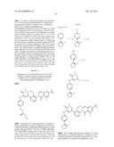 Inhibitors of Bruton s Tyrosine Kinase diagram and image