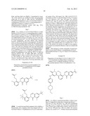 Inhibitors of Bruton s Tyrosine Kinase diagram and image